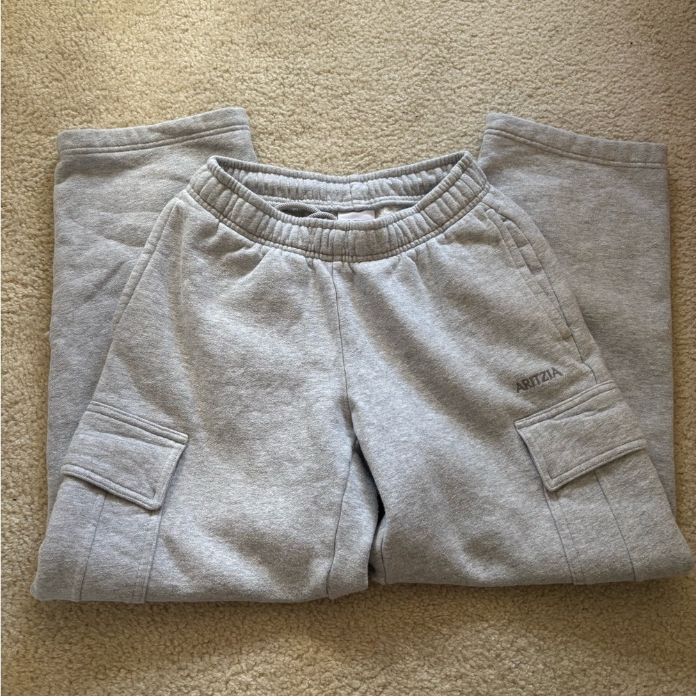 Aritzia Cozy Fleece Cargo Sweats